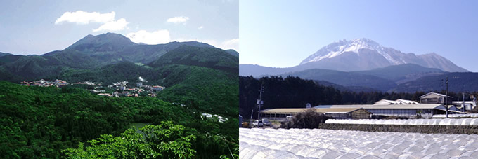 雲仙活き活きポークを使用